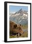 Brown Bear and Coastal Mountains, Katmai National Park, Alaska-Paul Souders-Framed Photographic Print