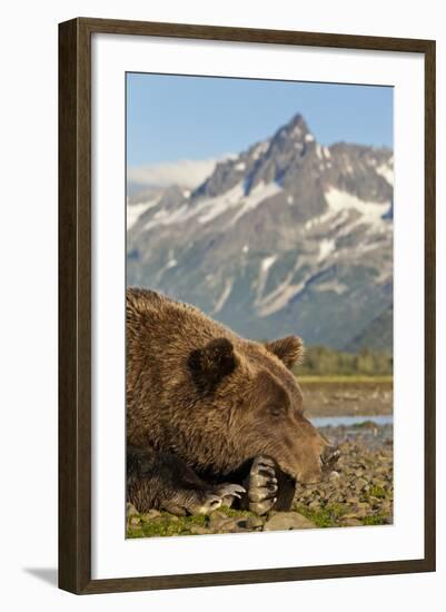 Brown Bear and Coastal Mountains, Katmai National Park, Alaska-Paul Souders-Framed Photographic Print