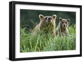 Brown Bear and Cub, Katmai National Park, Alaska-Paul Souders-Framed Premium Photographic Print