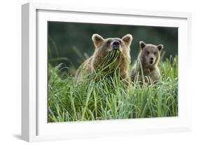 Brown Bear and Cub, Katmai National Park, Alaska-Paul Souders-Framed Photographic Print