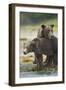 Brown Bear and Cub, Katmai National Park, Alaska-Paul Souders-Framed Photographic Print