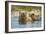 Brown Bear and Cubs, Katmai National Park, Alaska-Paul Souders-Framed Photographic Print