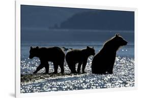 Brown Bear and Cubs, Katmai National Park, Alaska-Paul Souders-Framed Photographic Print