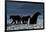 Brown Bear and Cubs, Katmai National Park, Alaska-Paul Souders-Framed Photographic Print