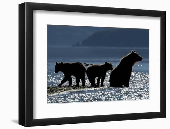 Brown Bear and Cubs, Katmai National Park, Alaska-Paul Souders-Framed Photographic Print