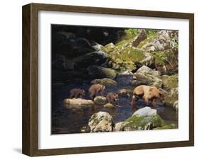 Brown Bear and Cubs-DLILLC-Framed Photographic Print