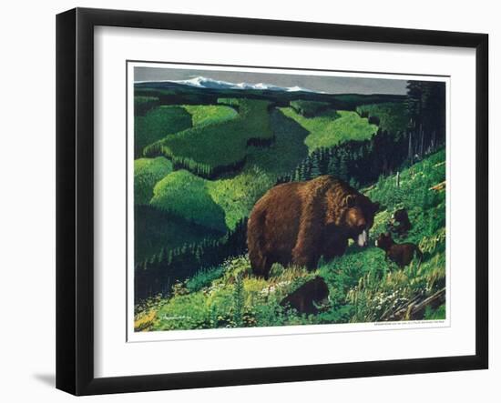 Brown Bear and Cubs-Fred Ludekens-Framed Giclee Print