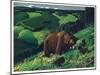 Brown Bear and Cubs-Fred Ludekens-Mounted Giclee Print
