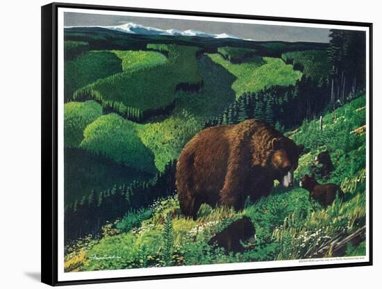 Brown Bear and Cubs-Fred Ludekens-Framed Stretched Canvas