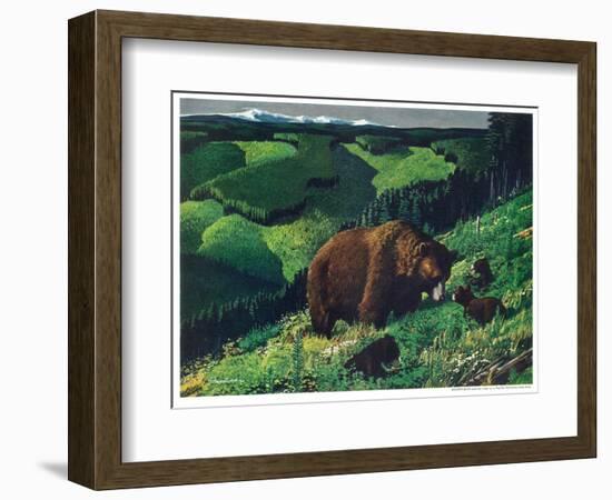 Brown Bear and Cubs-Fred Ludekens-Framed Giclee Print