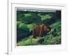 Brown Bear and Cubs-Fred Ludekens-Framed Giclee Print