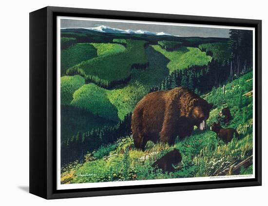 Brown Bear and Cubs-Fred Ludekens-Framed Stretched Canvas