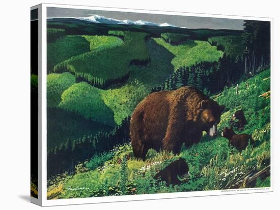 Brown Bear and Cubs-Fred Ludekens-Stretched Canvas