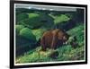 Brown Bear and Cubs-Fred Ludekens-Framed Giclee Print