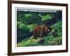 Brown Bear and Cubs-Fred Ludekens-Framed Premium Giclee Print