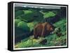 Brown Bear and Cubs-Fred Ludekens-Framed Stretched Canvas