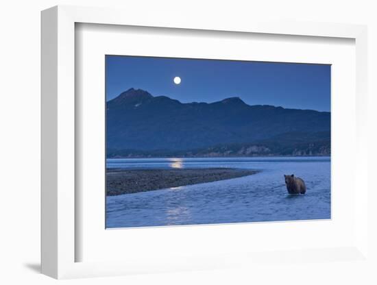 Brown Bear and Full Moon, Katmai National Park, Alaska-Paul Souders-Framed Photographic Print
