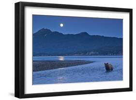 Brown Bear and Full Moon, Katmai National Park, Alaska-Paul Souders-Framed Photographic Print