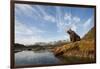 Brown Bear and Mountains, Katmai National Park, Alaska-null-Framed Photographic Print