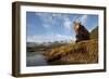 Brown Bear and Mountains, Katmai National Park, Alaska-Paul Souders-Framed Photographic Print