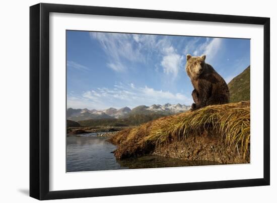 Brown Bear and Mountains, Katmai National Park, Alaska-Paul Souders-Framed Photographic Print
