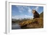 Brown Bear and Mountains, Katmai National Park, Alaska-Paul Souders-Framed Photographic Print