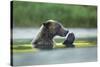 Brown Bear and Salmon, Katmai National Park, Alaska-Paul Souders-Stretched Canvas