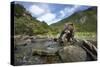 Brown Bear and Salmon, Katmai National Park, Alaska-Paul Souders-Stretched Canvas