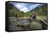 Brown Bear and Salmon, Katmai National Park, Alaska-Paul Souders-Framed Stretched Canvas