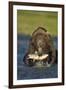 Brown Bear and Salmon, Katmai National Park, Alaska-Paul Souders-Framed Photographic Print