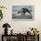 Brown Bear and Salmon, Katmai National Park, Alaska-Paul Souders-Framed Photographic Print displayed on a wall