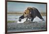 Brown Bear and Salmon, Katmai National Park, Alaska-Paul Souders-Framed Photographic Print