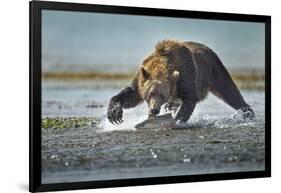 Brown Bear and Salmon, Katmai National Park, Alaska-Paul Souders-Framed Photographic Print