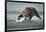 Brown Bear and Salmon, Katmai National Park, Alaska-Paul Souders-Framed Photographic Print