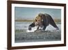 Brown Bear and Salmon, Katmai National Park, Alaska-Paul Souders-Framed Photographic Print