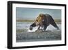 Brown Bear and Salmon, Katmai National Park, Alaska-Paul Souders-Framed Photographic Print