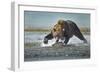 Brown Bear and Salmon, Katmai National Park, Alaska-Paul Souders-Framed Photographic Print