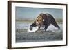 Brown Bear and Salmon, Katmai National Park, Alaska-Paul Souders-Framed Photographic Print