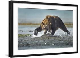 Brown Bear and Salmon, Katmai National Park, Alaska-Paul Souders-Framed Photographic Print