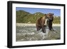 Brown Bear and Salmon, Katmai National Park, Alaska-Paul Souders-Framed Photographic Print