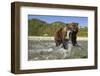 Brown Bear and Salmon, Katmai National Park, Alaska-Paul Souders-Framed Photographic Print