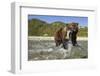 Brown Bear and Salmon, Katmai National Park, Alaska-Paul Souders-Framed Photographic Print