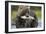 Brown Bear and Salmon, Katmai National Park, Alaska-Paul Souders-Framed Photographic Print