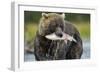 Brown Bear and Salmon, Katmai National Park, Alaska-Paul Souders-Framed Photographic Print