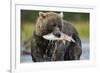 Brown Bear and Salmon, Katmai National Park, Alaska-Paul Souders-Framed Photographic Print