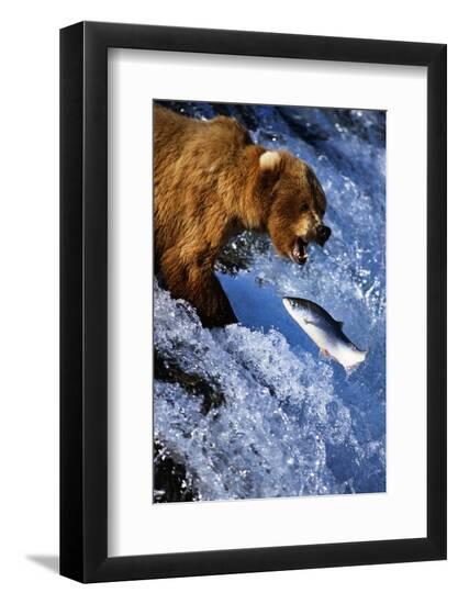 Premium Photographic Print, , large