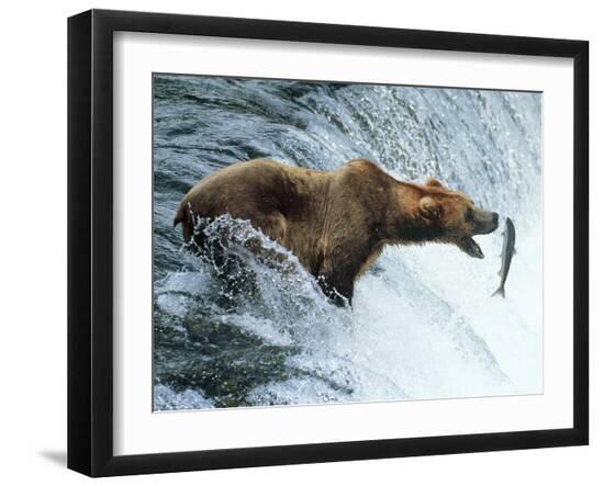 Premium Photographic Print, , large