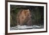 Brown Bear catching salmon at Brooks Falls, Katmai National Park, Alaska, USA-Keren Su-Framed Photographic Print