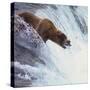 Brown Bear Catching Salmon-DLILLC-Stretched Canvas