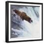 Brown Bear Catching Salmon-DLILLC-Framed Photographic Print